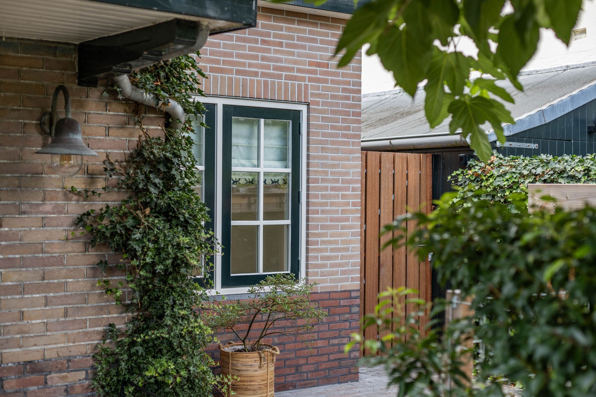 Raam met klimplanten aan baksteenwand. Raamwerk en buitenafwerking renovatie.
