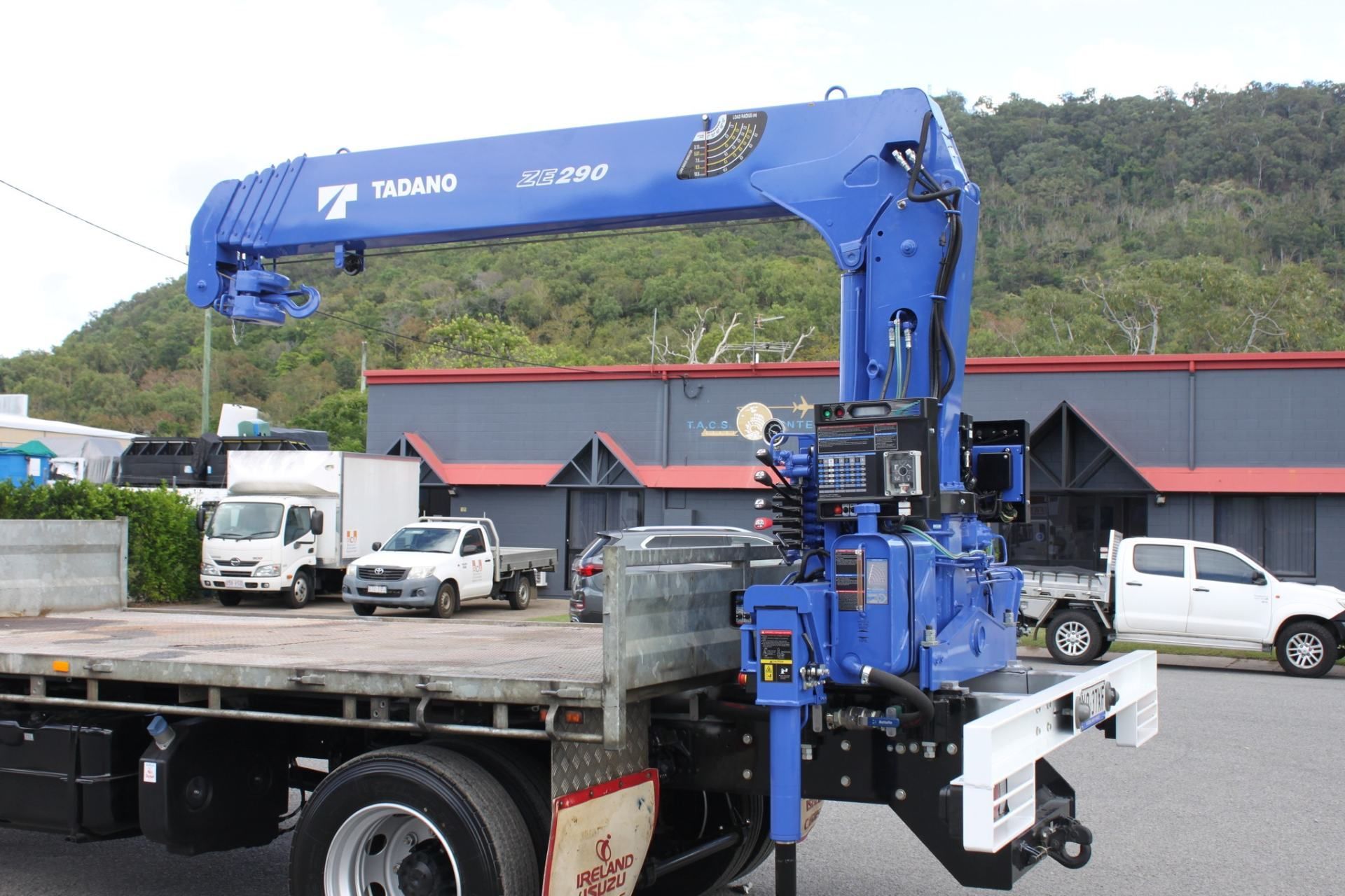 blue crane - image