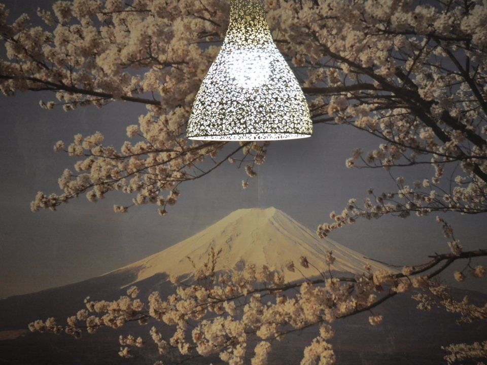 luce