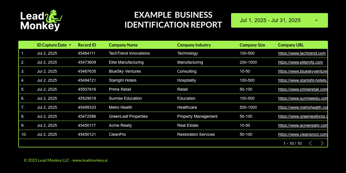 Lead-Monkey-Example-B2B-Report