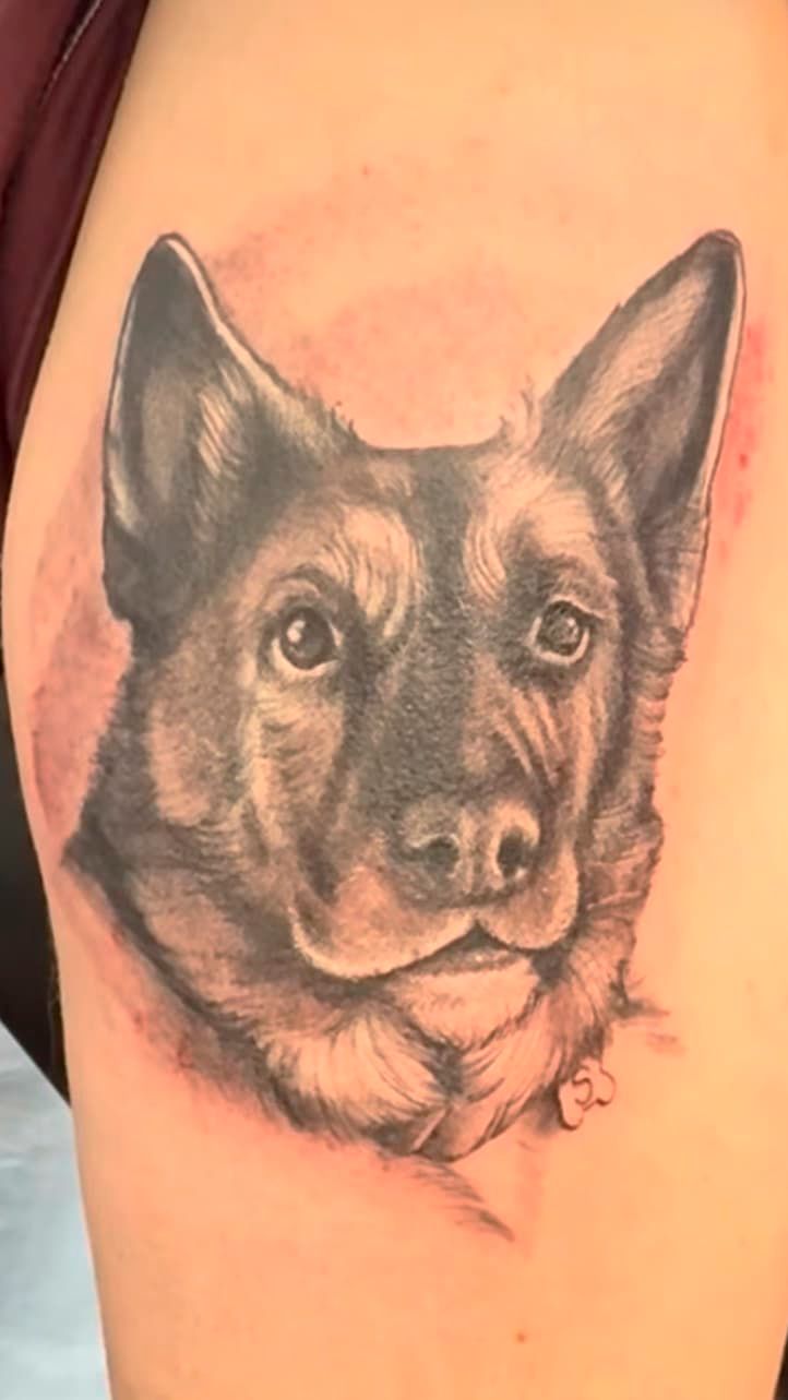Black-and-gray tattoo of a German shepherd’s head on a person’s upper arm