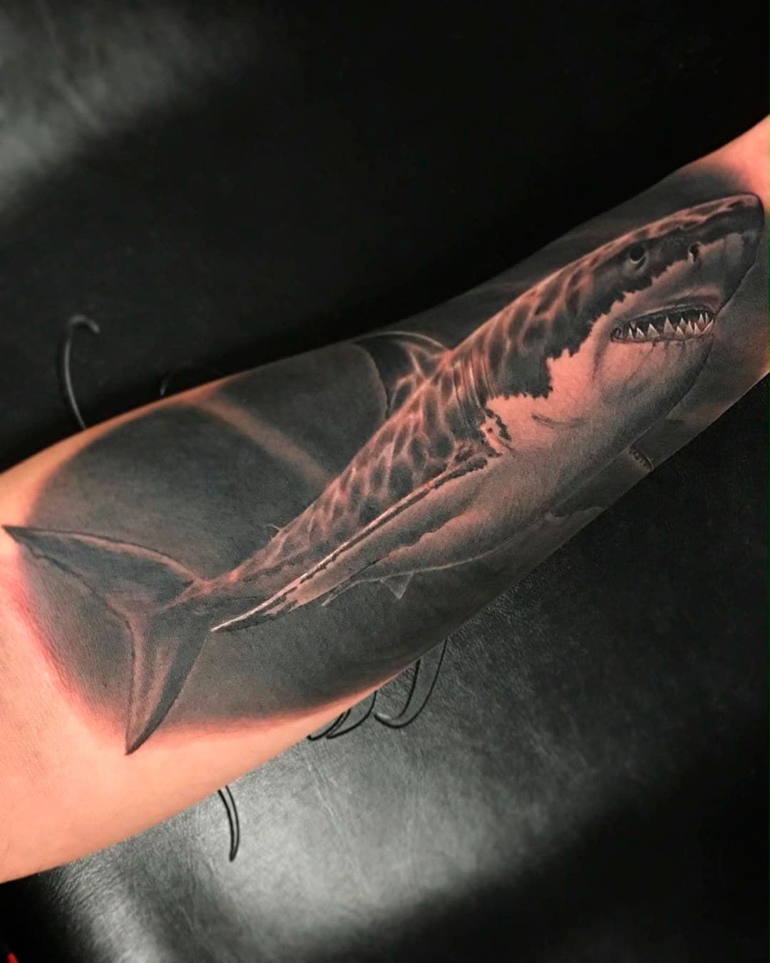 Black-and-gray shark tattoo on a forearm, with detailed scales and an open mouth.
