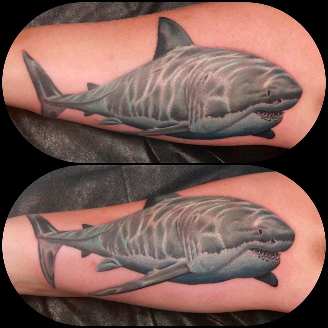 Two shark tattoos on forearms, one above the other, in gray and black ink