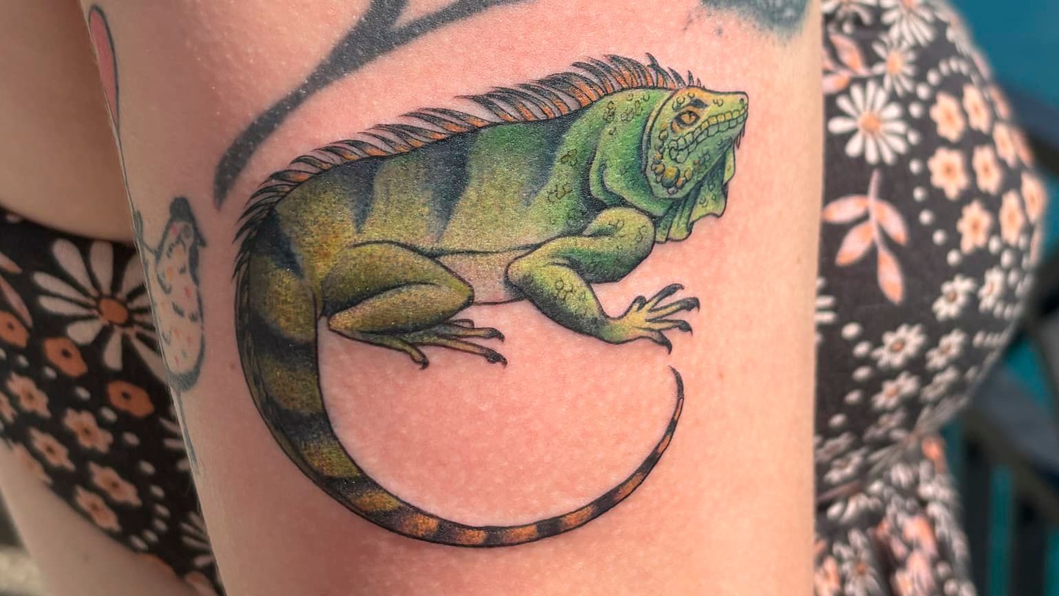 Green chameleon tattoo curled on a person’s upper arm, with black and colored details