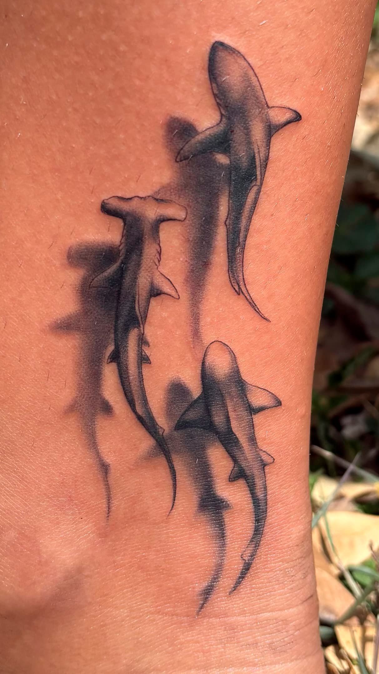 Three black shark tattoos on a person’s leg, shown outdoors.