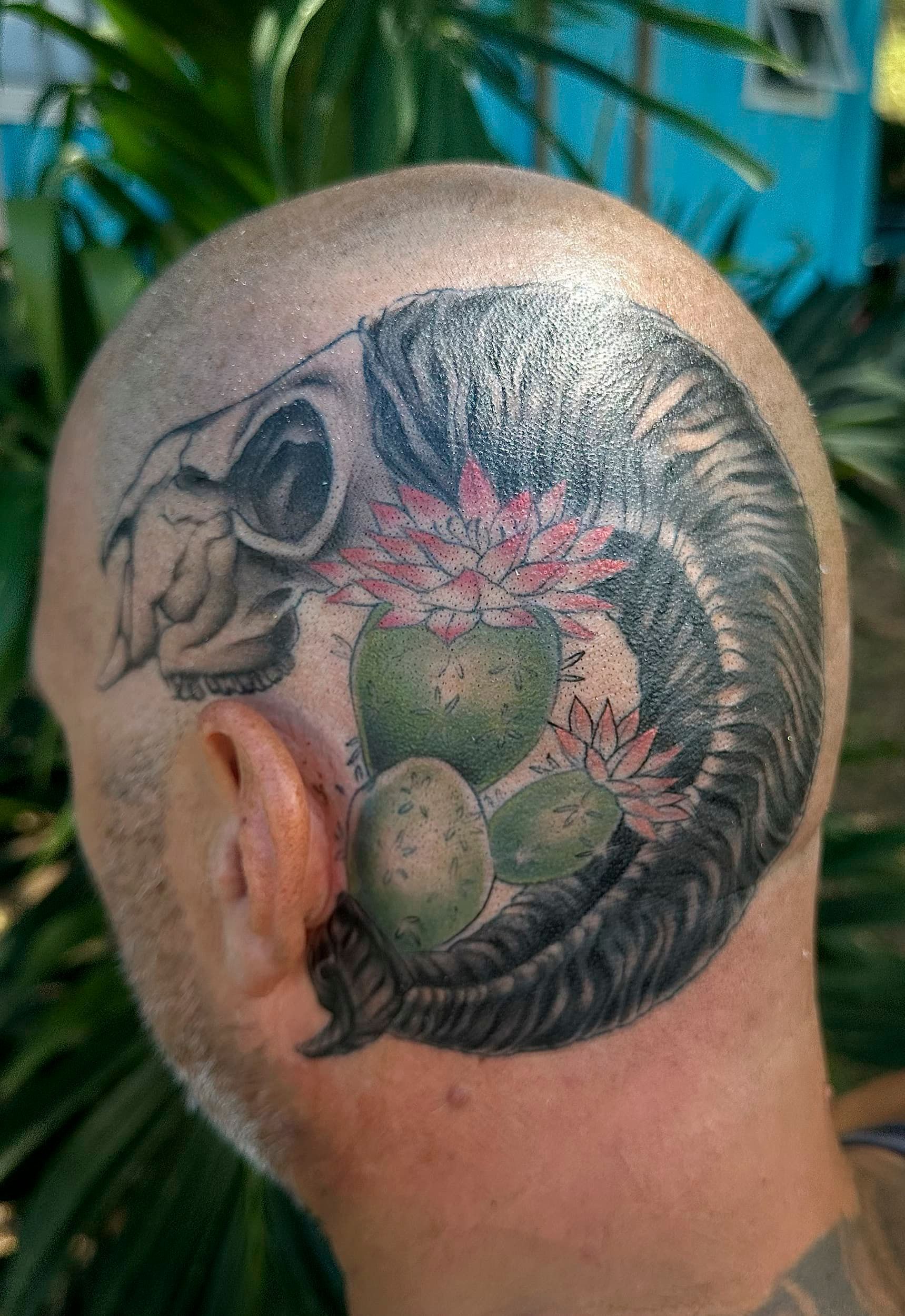 Back of a shaved head with a large colorful skull-and-cactus tattoo on the side