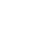 insecto