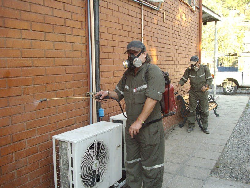onecin fumigacion