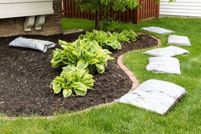 Curved garden border with hostas, dark mulch, and white stepping stones beside a lawn