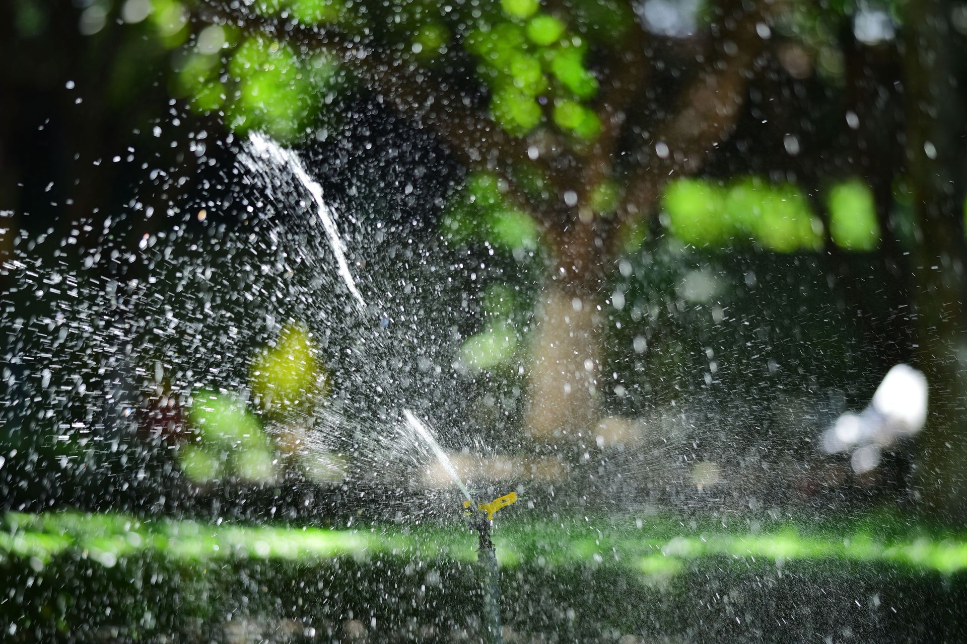 Water sprinkler spraying arcs of water in a green garden, with blurred trees in the background