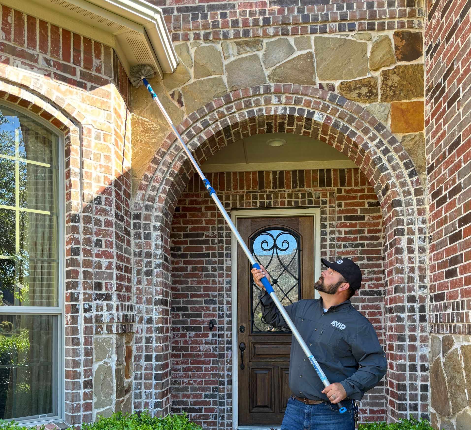 Allen Expert Pest Control | Avid Pest Solutions