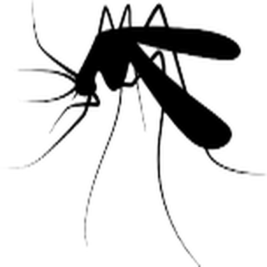 A white background with a few lines on it