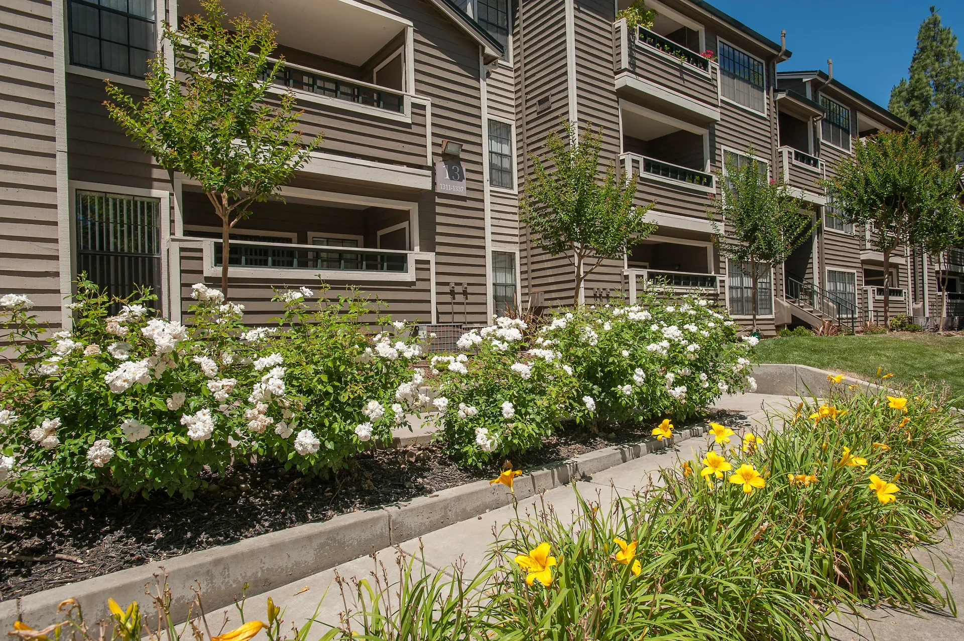Exterior view of a brown apartment building with balconies and landscaped flower beds at The Reserve at Capital Center.