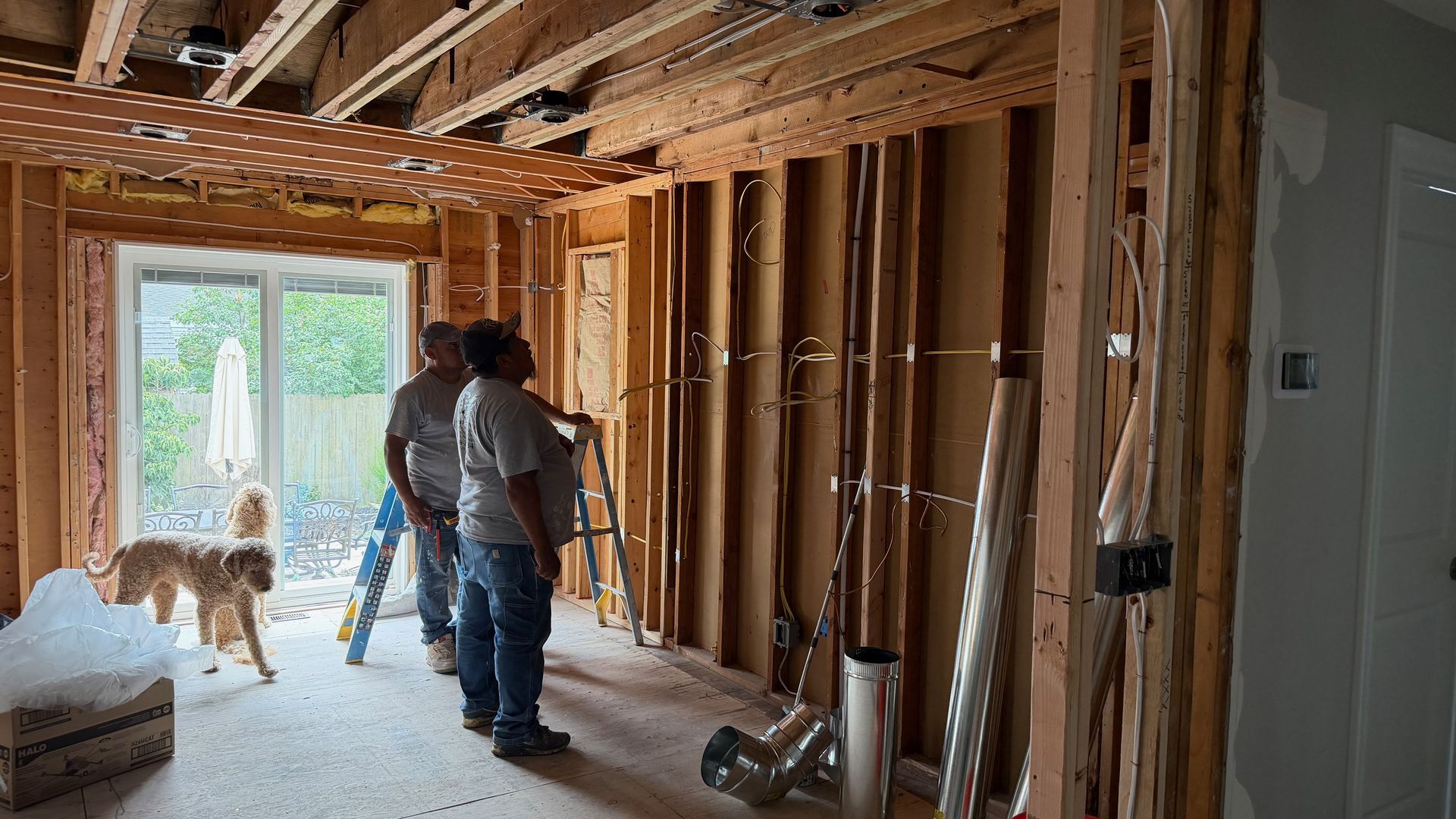 Two workers inspect exposed framing in a house under renovation, with a dog standing in a sunlit doorway.