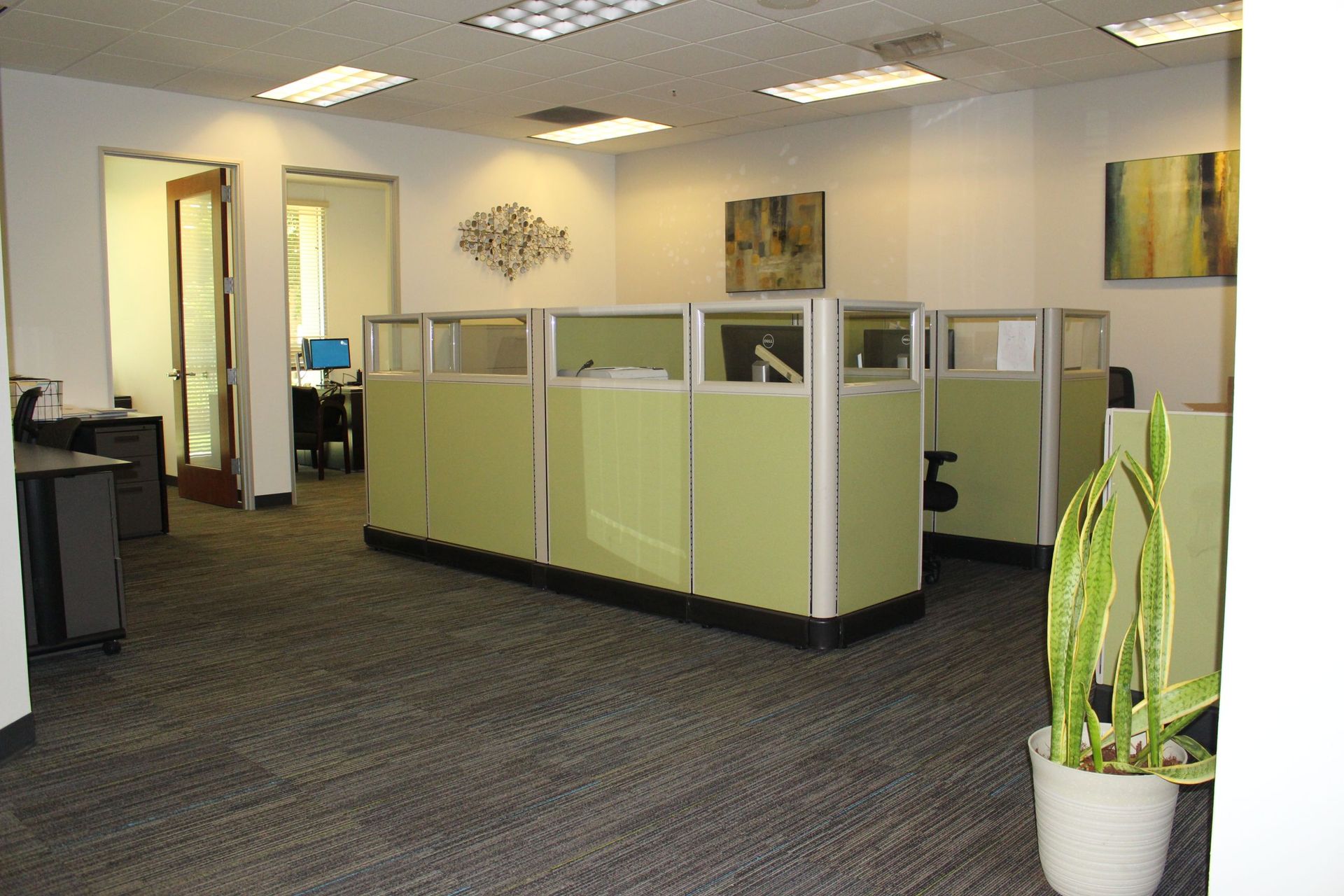 An office with green cubicles and a potted plant | Mortgage Companies in Roseville, CA