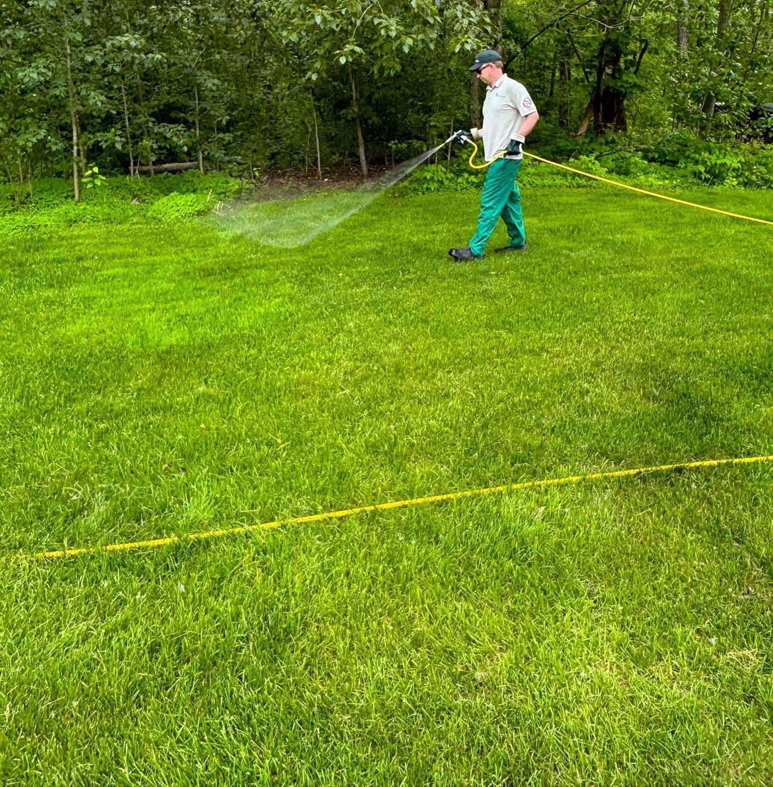 Weed Control Company Duluth MN