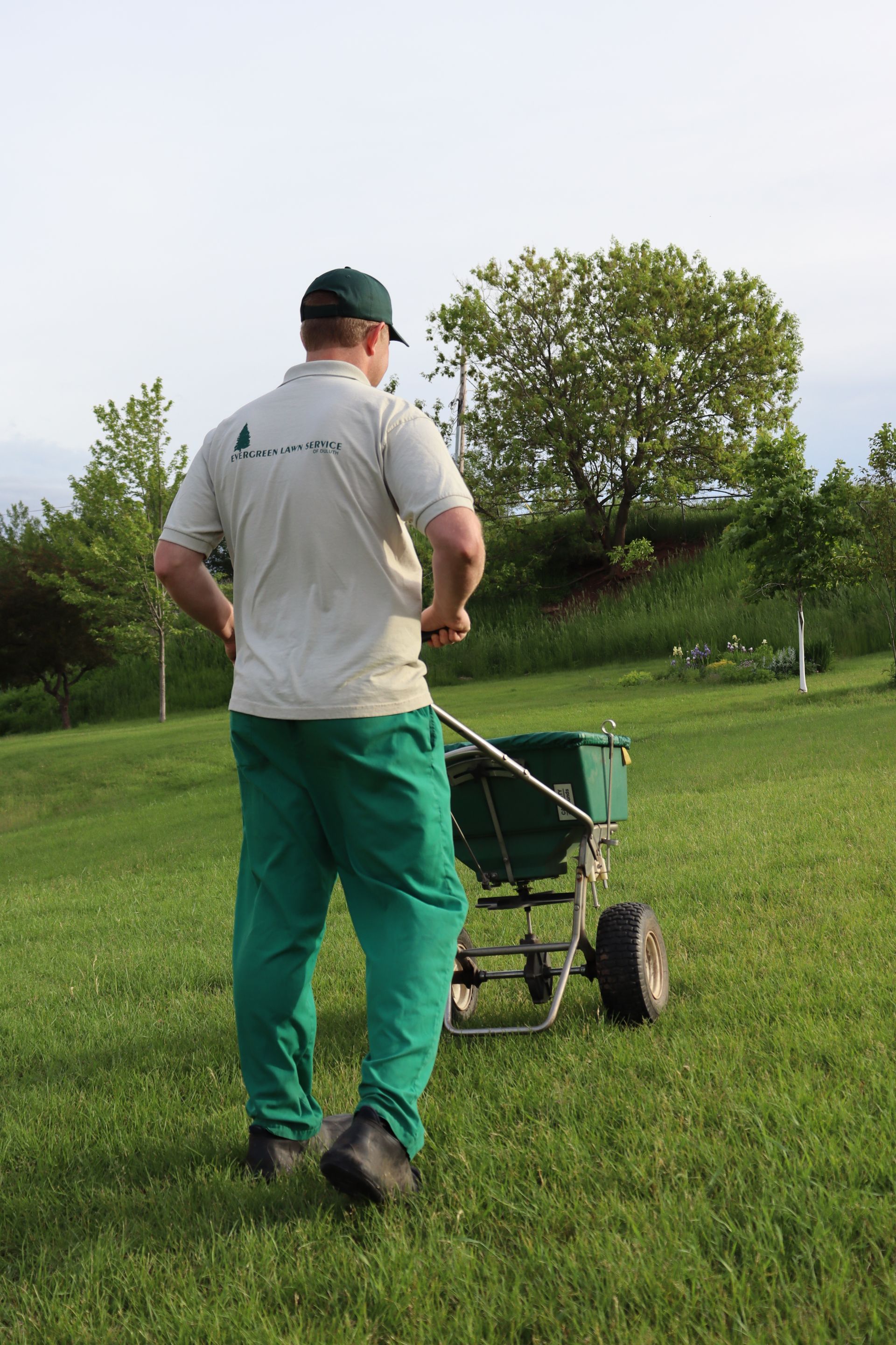 A man is spreading fertilizer on a lush green field.
