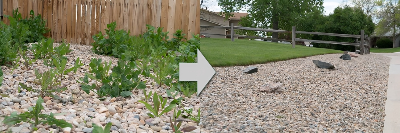 Weed Control Company Duluth MN