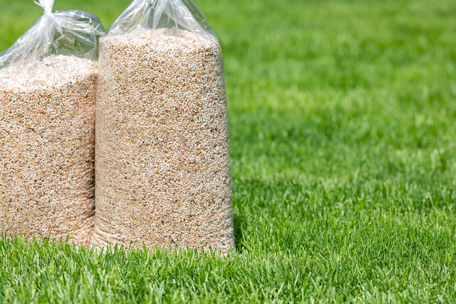 Close-up of two bags of lawn fertilizer and herbicide in a yard with green grass.