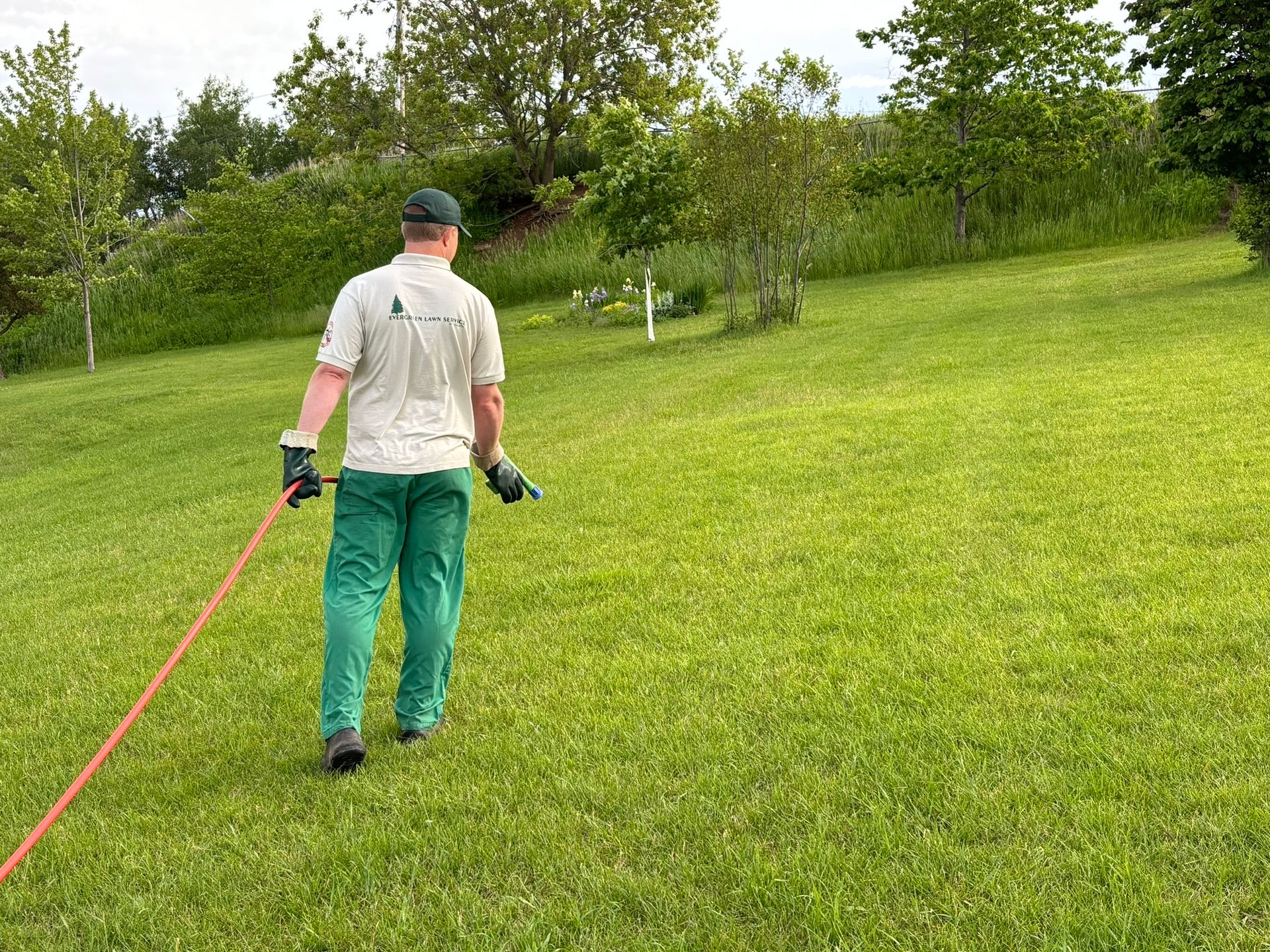 Worker spraying the lawn, showcasing weed control services in Duluth, MN.