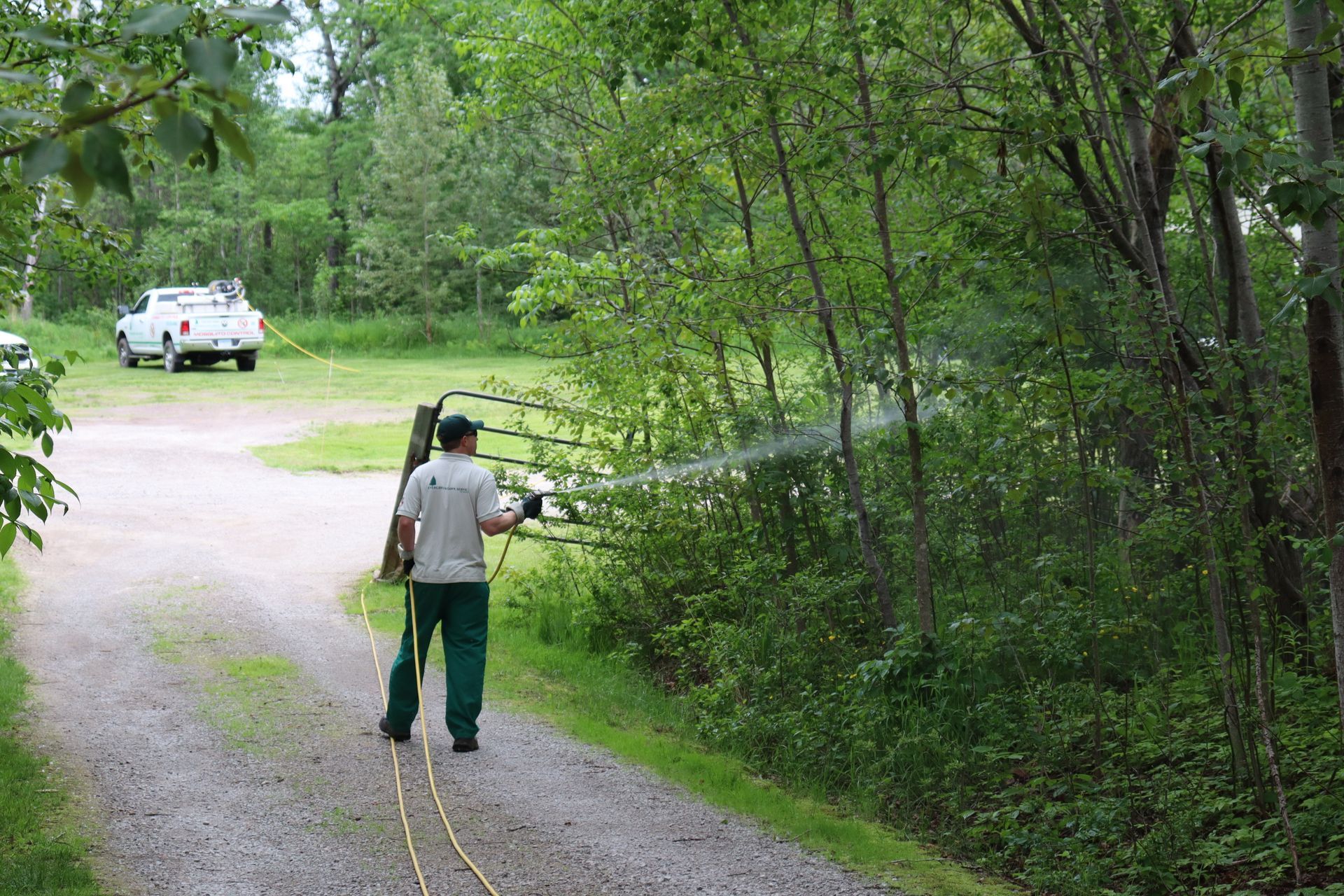 Technician performing residential mosquito control service in a Cloquet, MN, home backyard. Technician performing residential mosquito control service in a Cloquet, MN, home backyard.