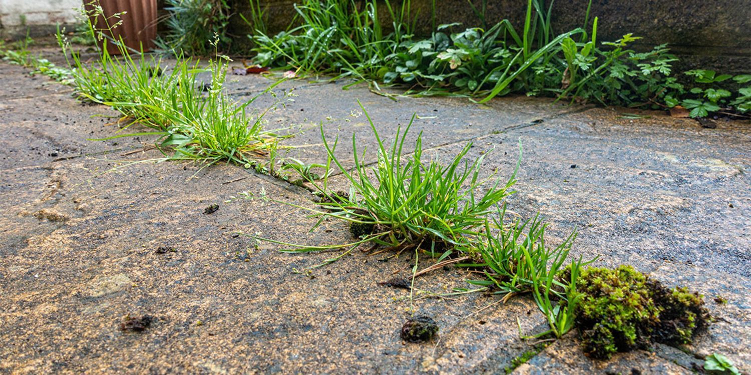 Residential Weed Control Duluth MN