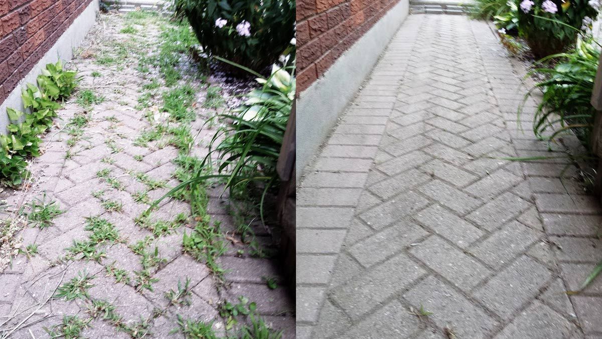 Weed Control Duluth MN