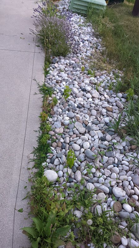 Weed Control Company Duluth MN