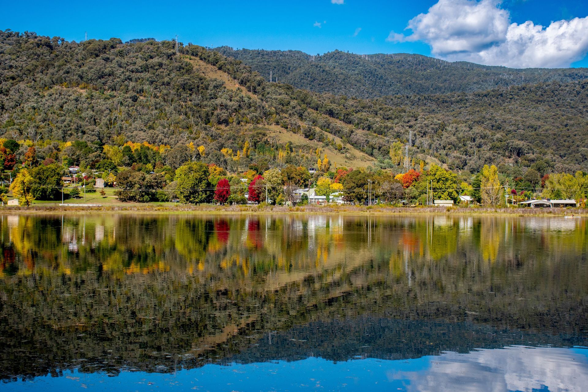 Lake Reflecting a Treelined Shore With Homes and Autumn Foliage โ J'adore Flowers & Gifts Cairns in Stratford, VIC