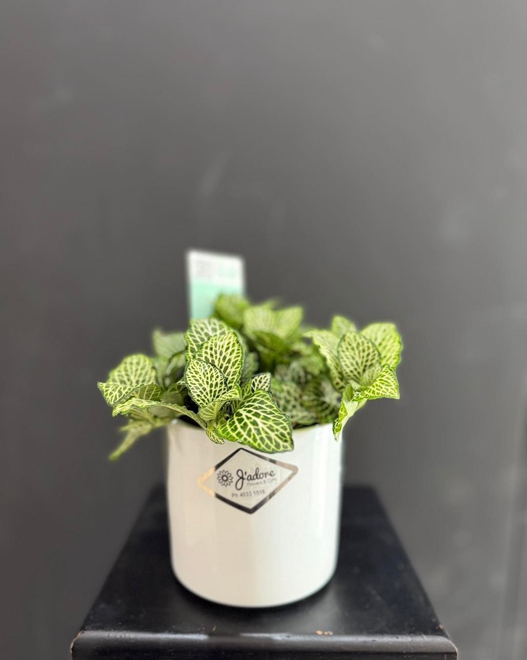 Floral arrangement in a beige pot: yellow snapdragons, marigold, white carnations, green leaves.