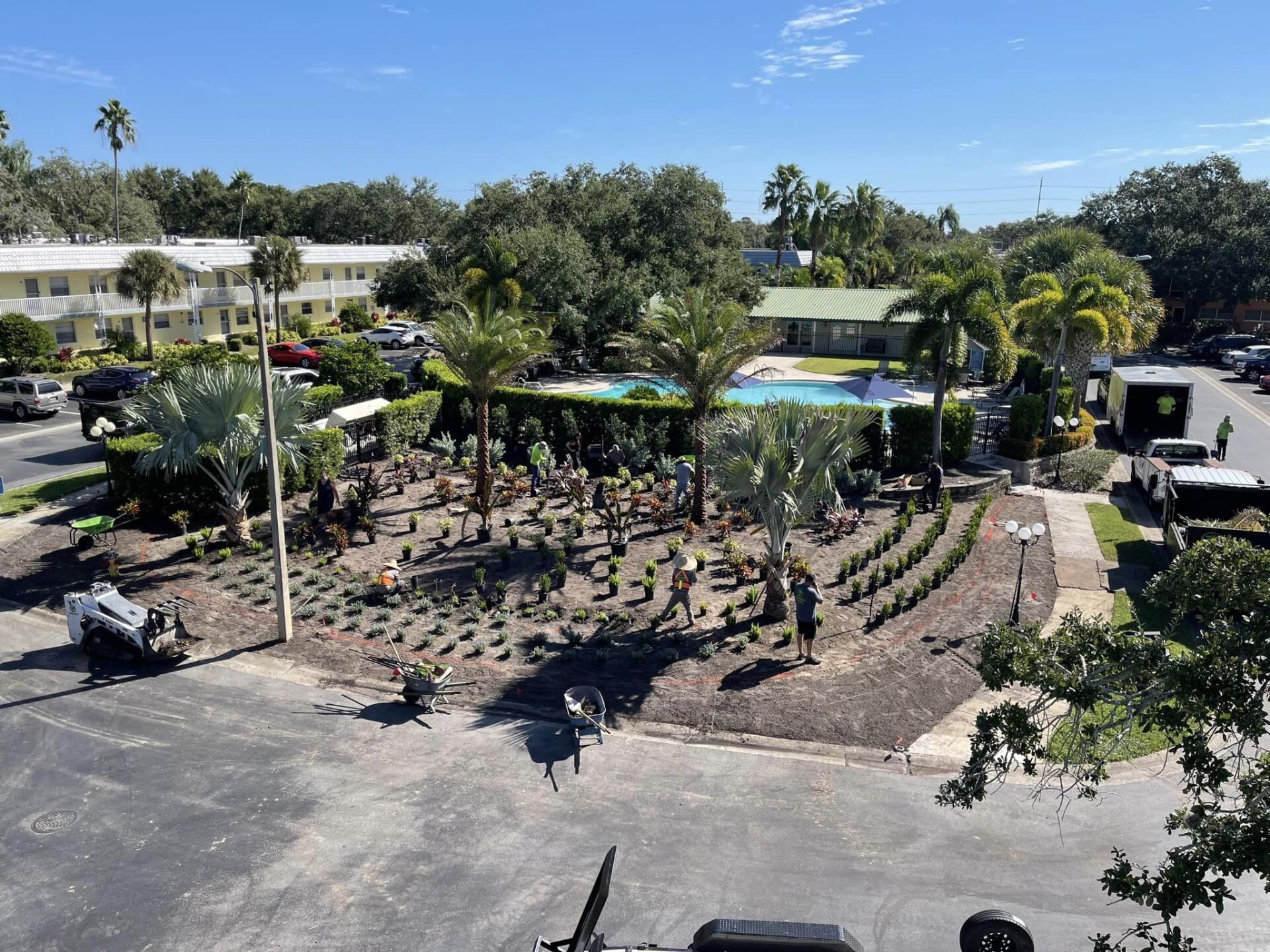 Workers planting in a landscaped area with palm trees, a pool, and apartment buildings in the background.