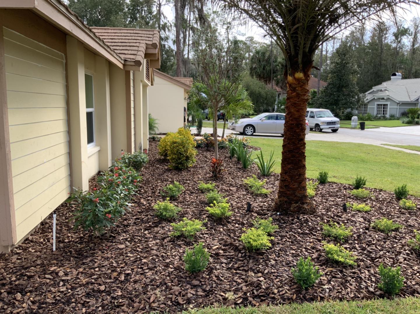 House exterior with landscaped flower bed in front, featuring mulch, small green plants, and a palm tree.