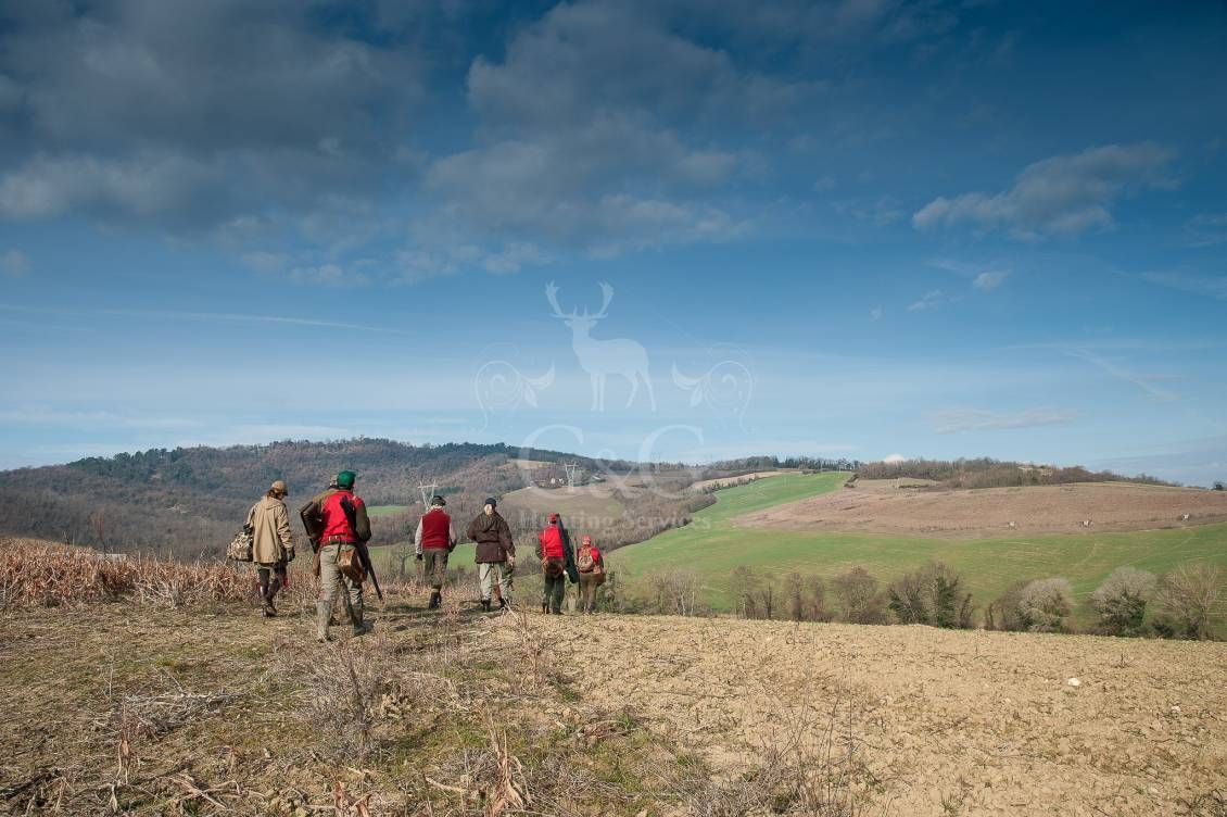 WINGSHOOTING DRIVEN - G&G Hunting Services