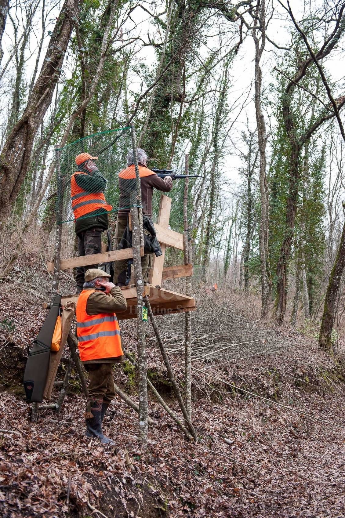 DRIVEN WILD BOAR - G&G Hunting Services