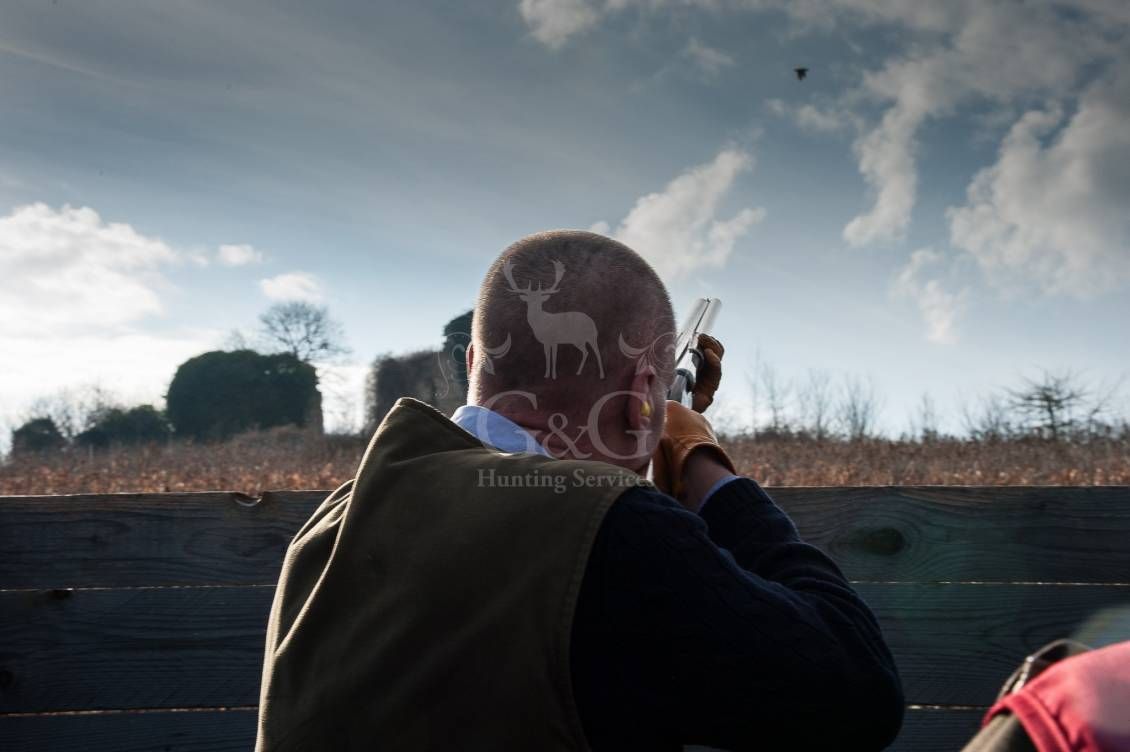 WINGSHOOTING DRIVEN - G&G Hunting Services