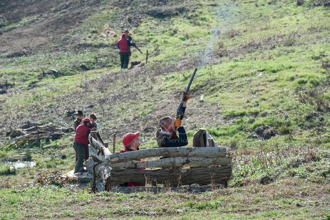 WINGSHOOTING DRIVEN - G&G Hunting Services