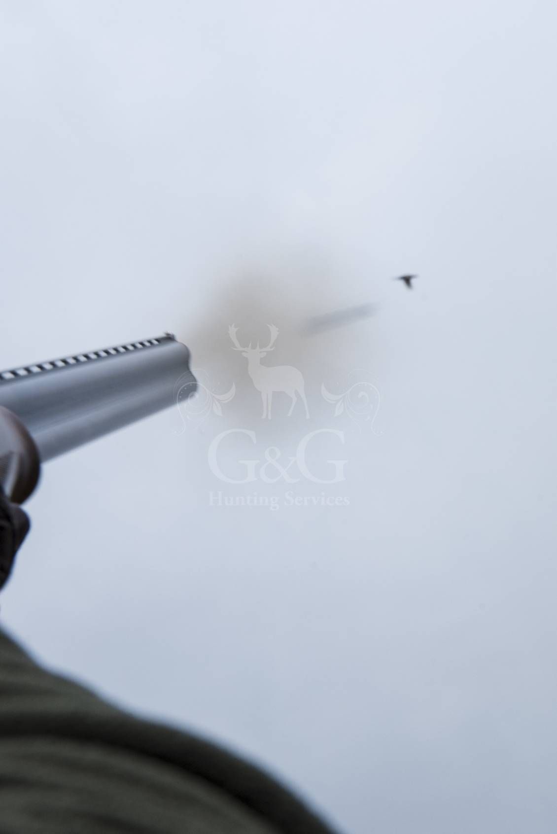WINGSHOOTING DRIVEN - G&G Hunting Services