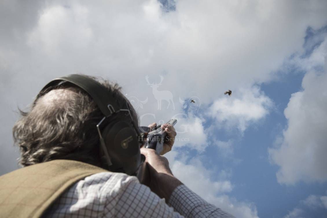 WINGSHOOTING DRIVEN - G&G Hunting Services