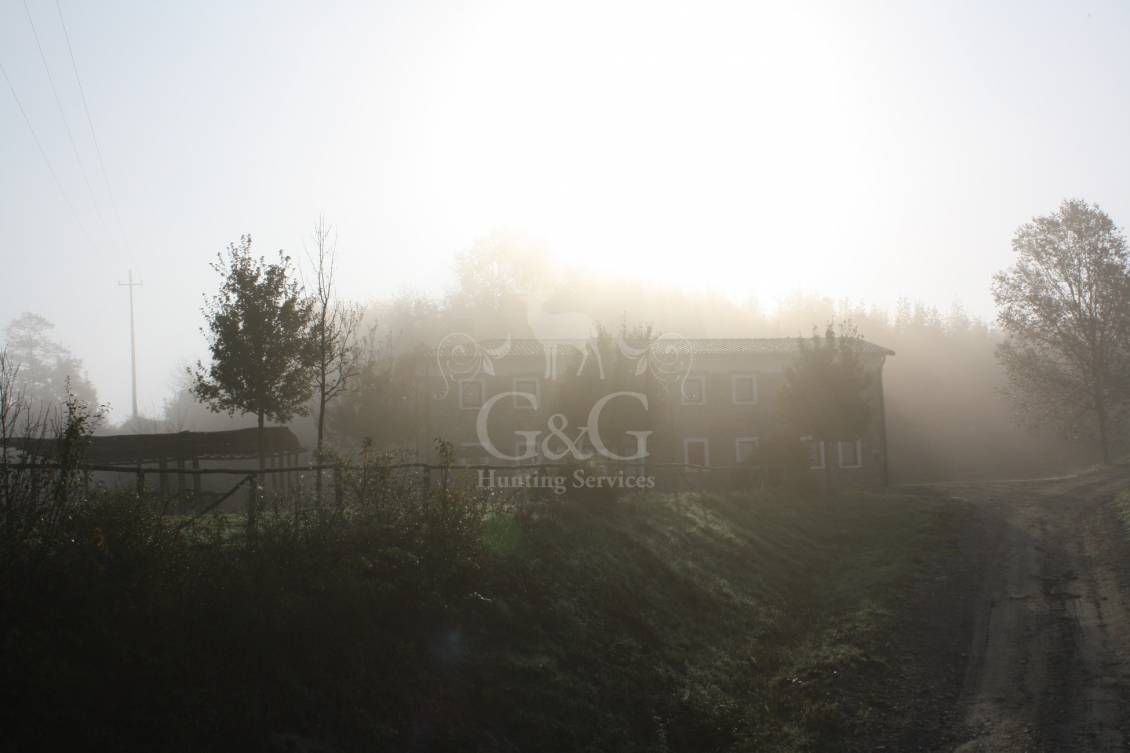 WINGSHOOTING DRIVEN - G&G Hunting Services