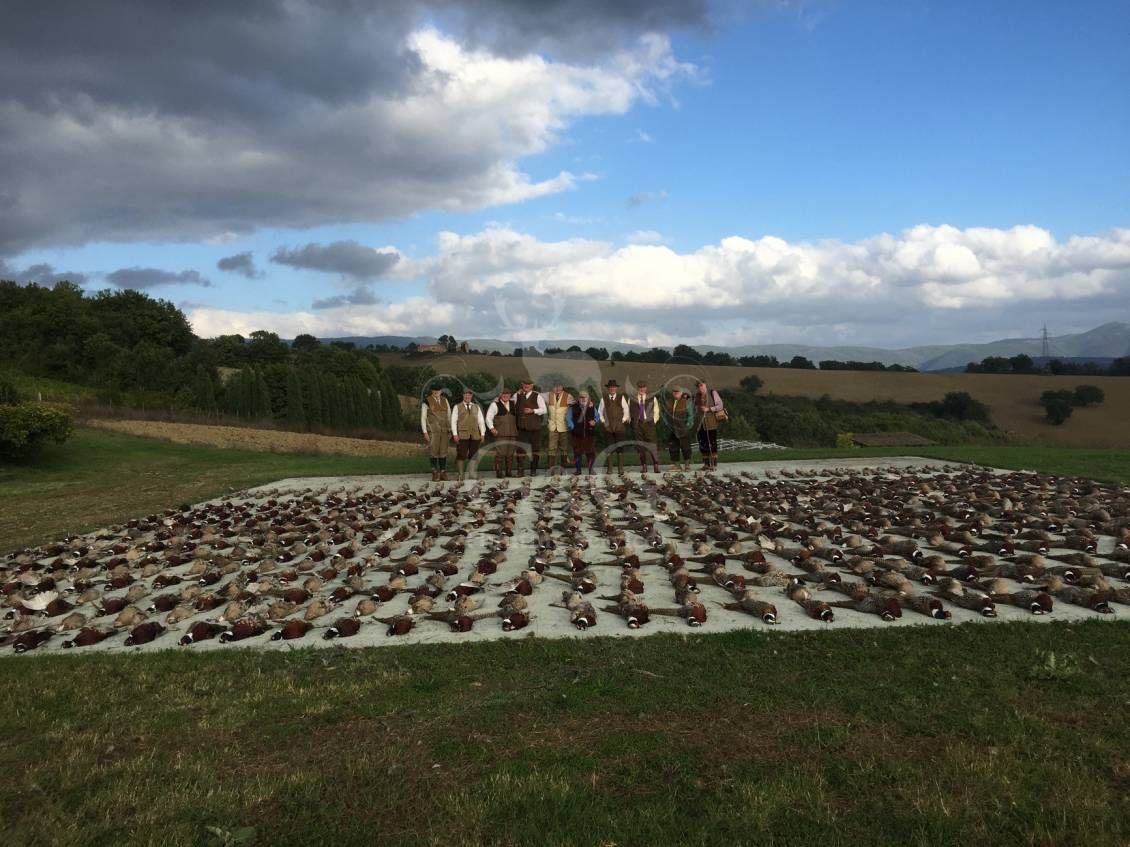 WINGSHOOTING DRIVEN - G&G Hunting Services