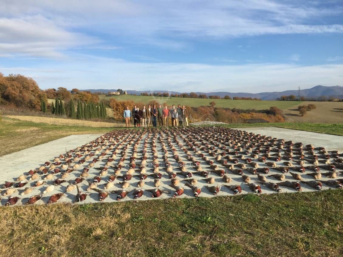 WINGSHOOTING DRIVEN - G&G Hunting Services