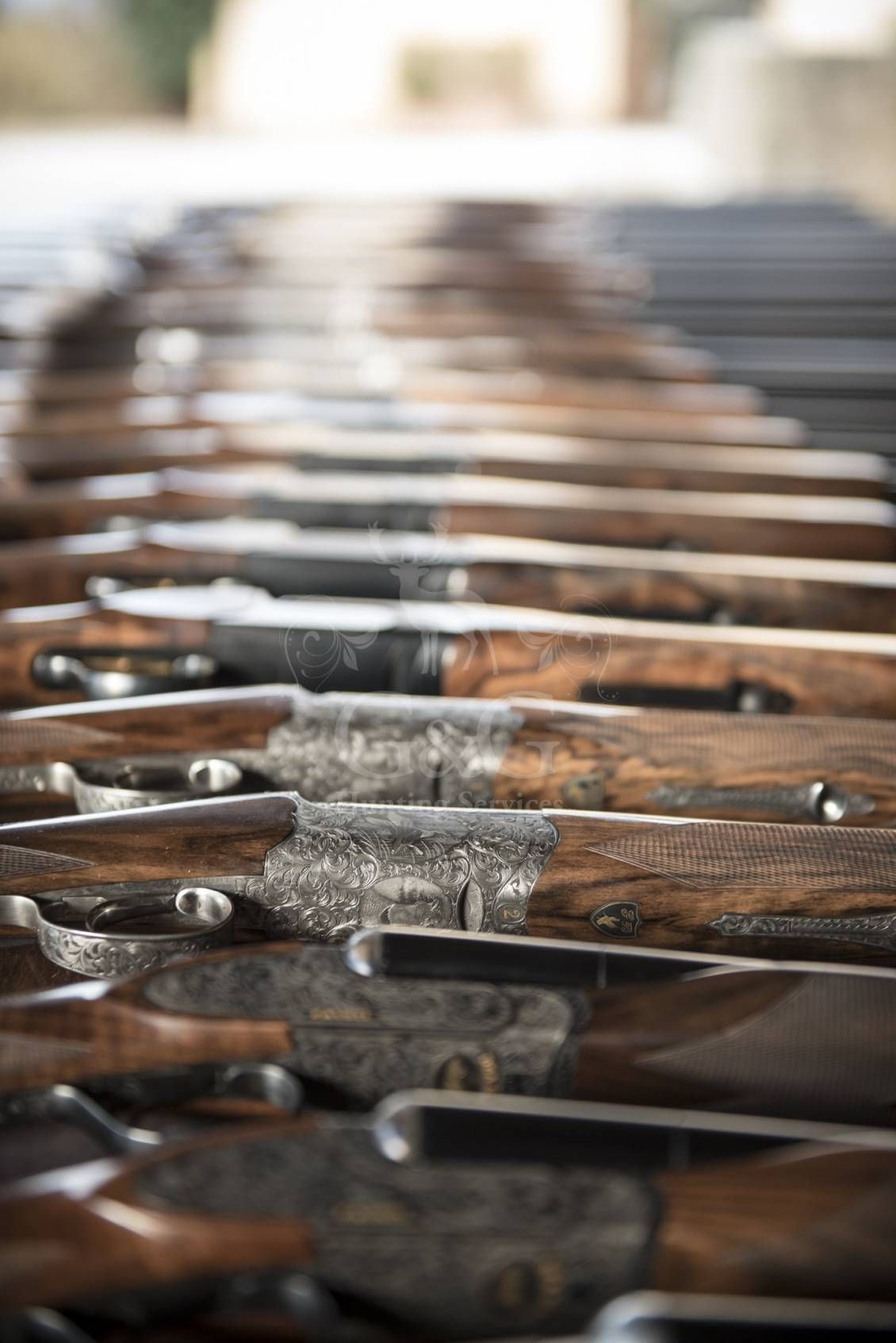 WINGSHOOTING DRIVEN - G&G Hunting Services