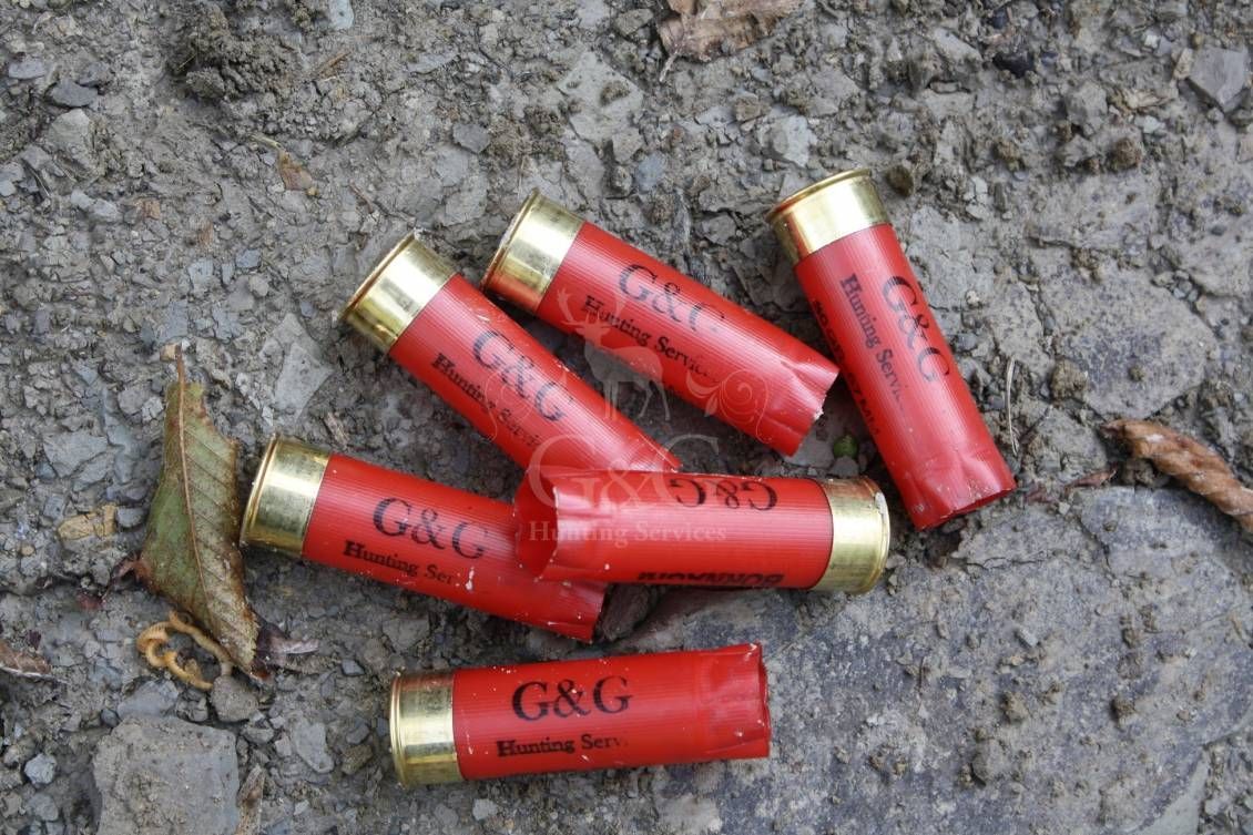 WINGSHOOTING DRIVEN - G&G Hunting Services