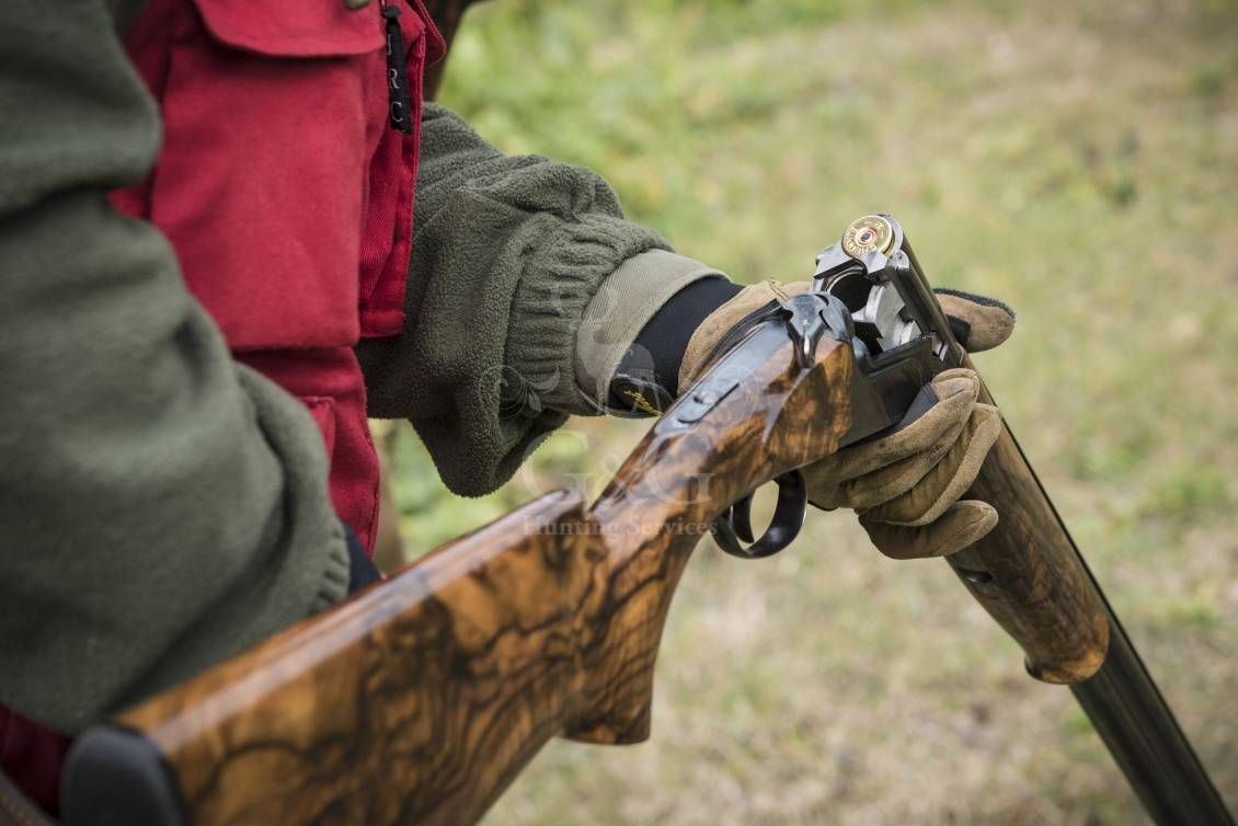 WINGSHOOTING DRIVEN - G&G Hunting Services