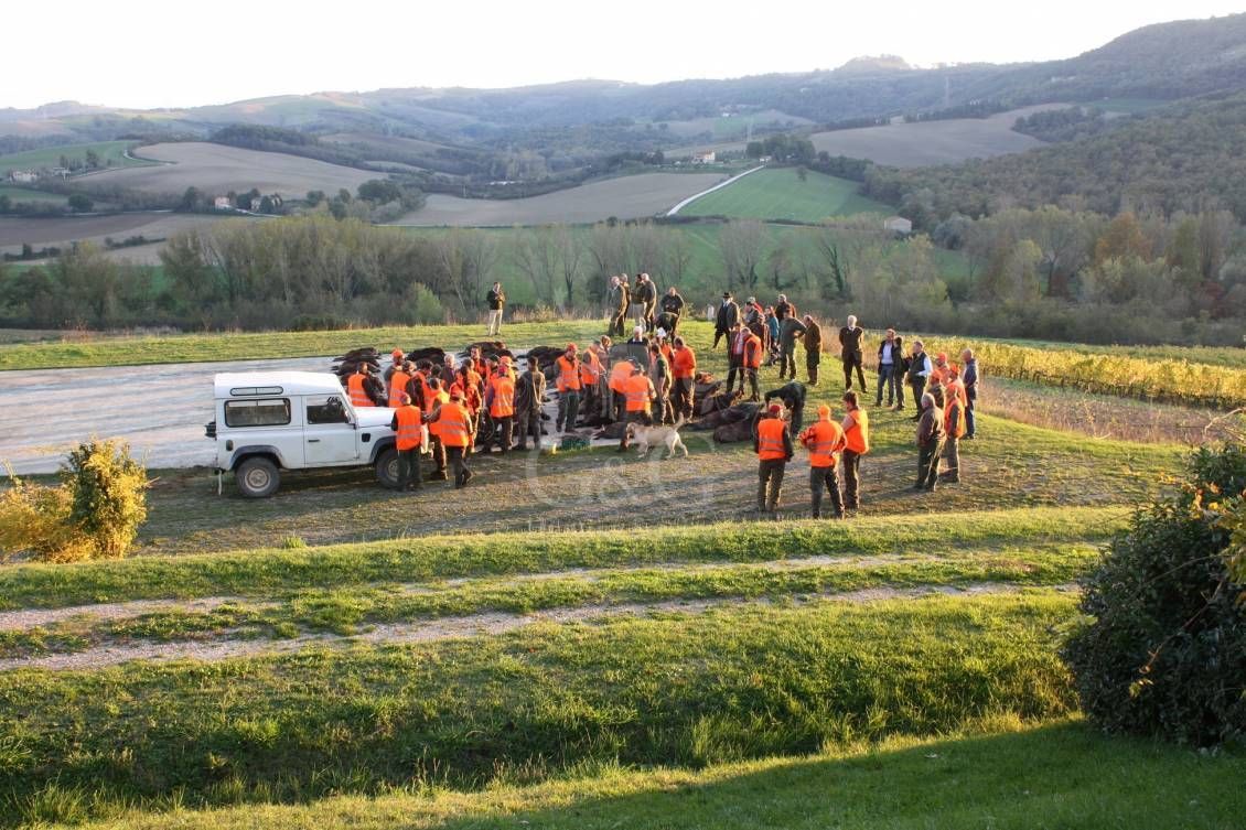 DRIVEN WILD BOAR - G&G Hunting Services