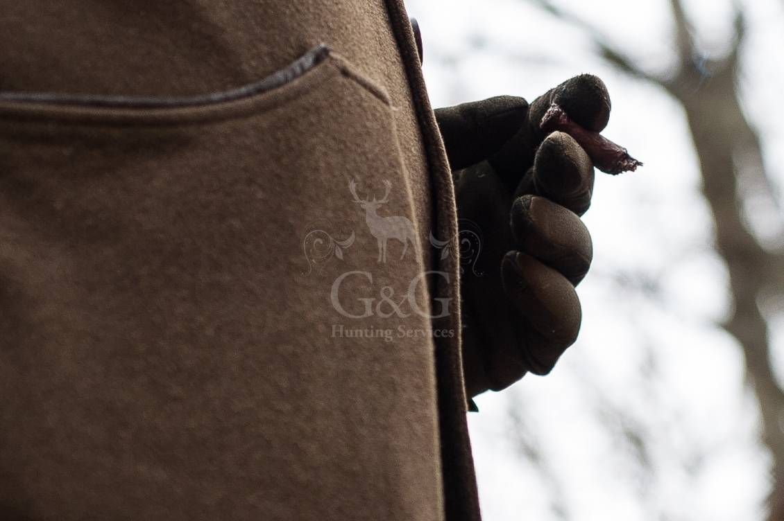 DRIVEN WILD BOAR - G&G Hunting Services