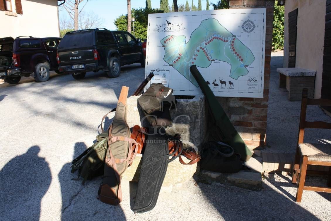 DRIVEN WILD BOAR - G&G Hunting Services