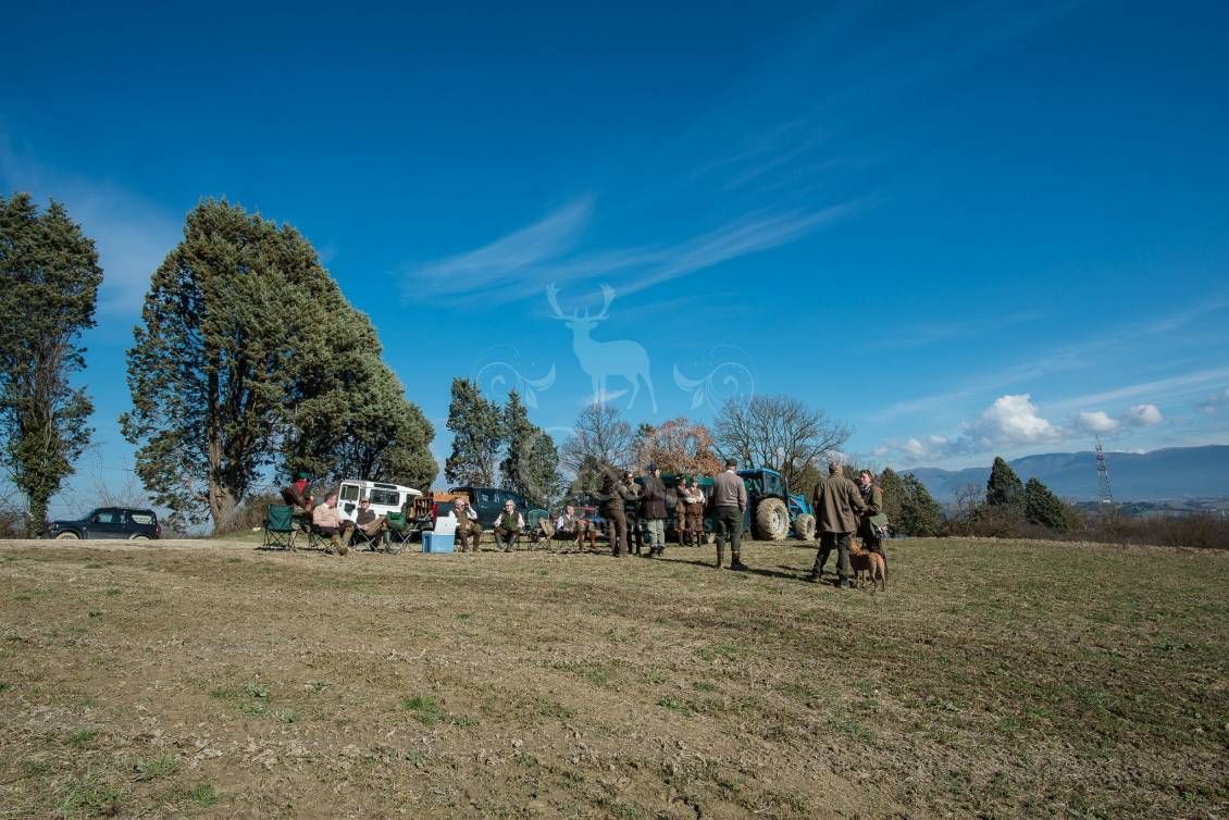 WINGSHOOTING DRIVEN - G&G Hunting Services