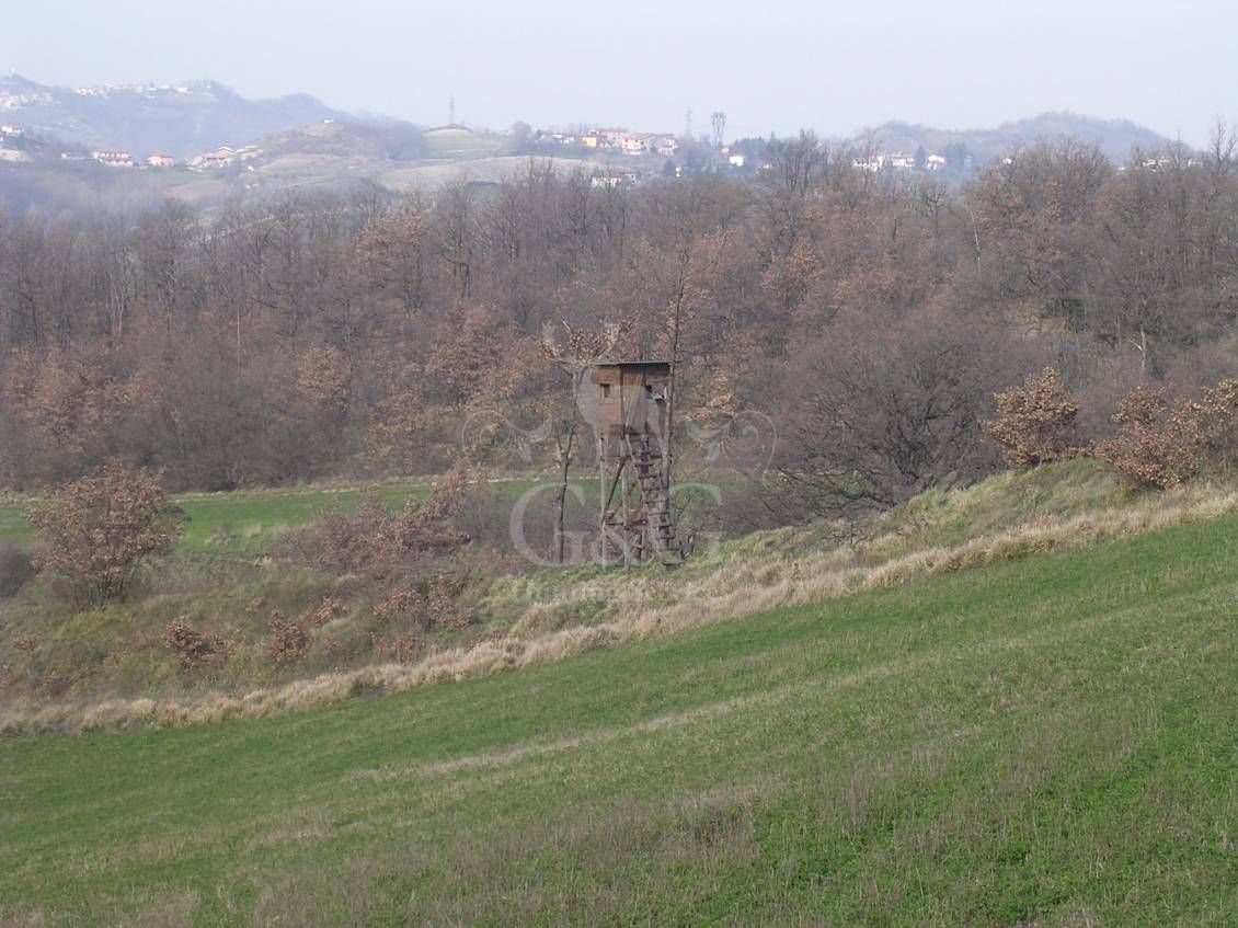 HUNTING TOWER - caccia ungulati di selezione