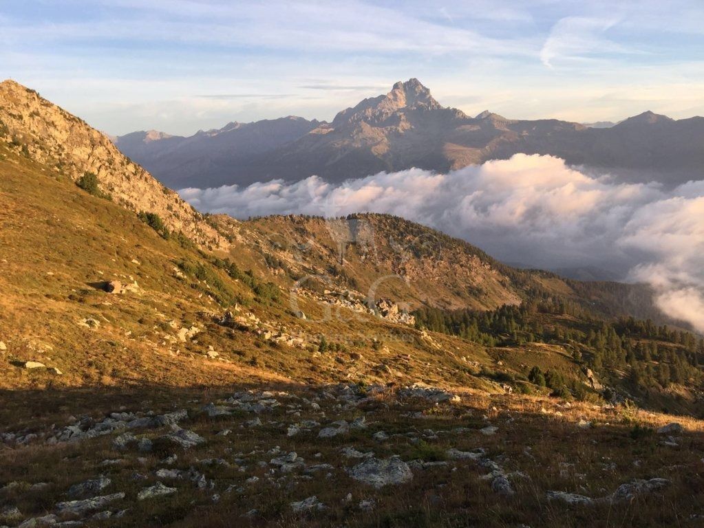 ABOUT CHAMOIS HUNTING DAY - CACCIA IN MONTAGNA - G&G HUNTING SERVICES